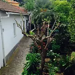 2 * 卡沃