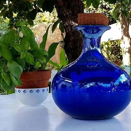 Tatil Evi 2 Cavo
