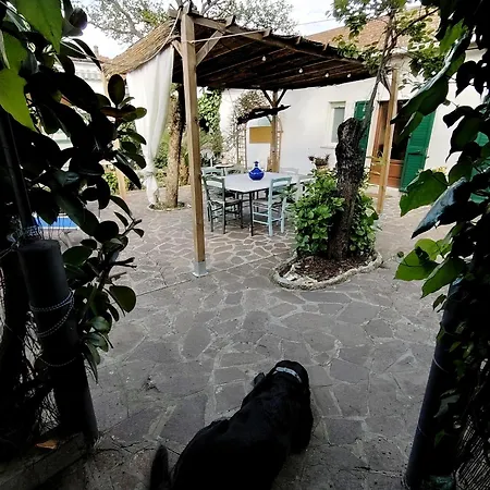 Tatil Evi 2 Cavo